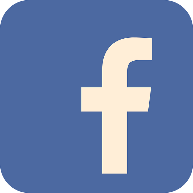 FaceIcon