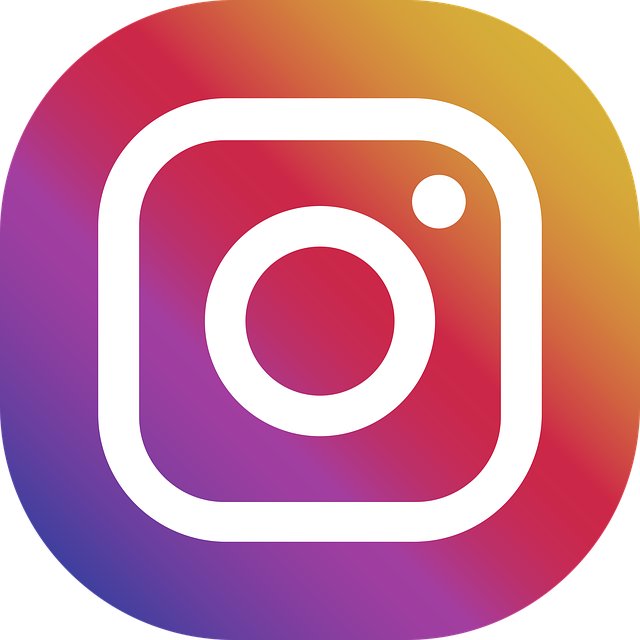 InstaIcon