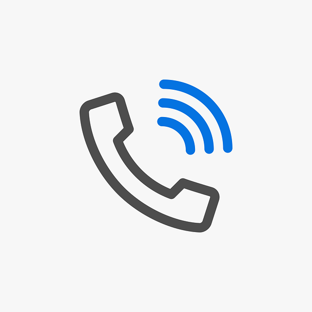 Phone Icon